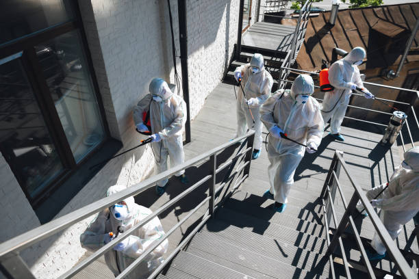 Best Mold Prevention Services  in Bear Creek, AL