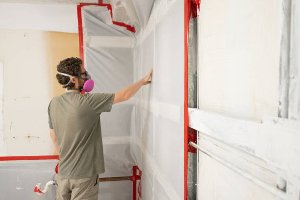 Best Airborne Mold Testing  in Bear Creek, AL