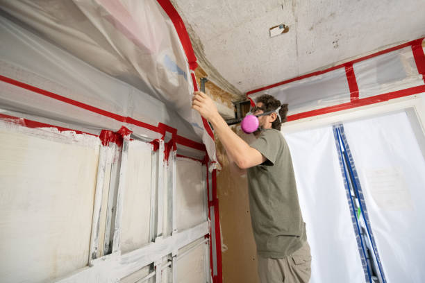 Best Post-Remediation Verification Testing  in Bear Creek, AL
