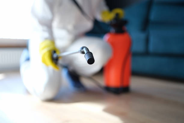 Best Real Estate Mold Inspection  in Bear Creek, AL