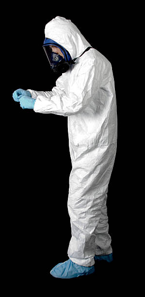 Best Mold Documentation for Insurance Claims  in Bear Creek, AL