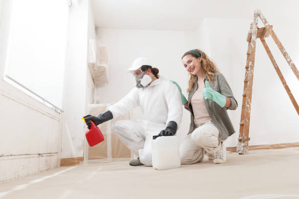 Best Indoor Air Quality Assessment  in Bear Creek, AL