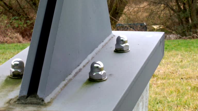 Best Attic Mold Removal  in Bear Creek, AL