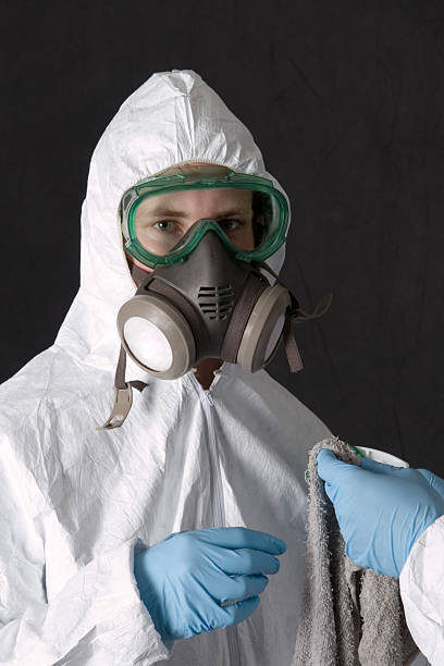 Best Mold Damage Restoration  in Bear Creek, AL